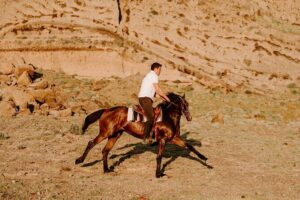 Beach Gallop - Horse Riding Safari for Experienced Riders - Getting started: stables, gear, and quick safety rhythm