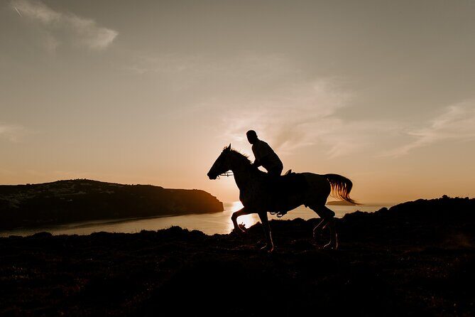 Beach Gallop - Horse Riding Safari for Experienced Riders - Who this fits best (and who should rethink it)