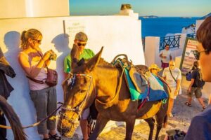 Best of Santorini Full Day Private Trip From Mykonos - Oia in One Hour: The Best Use of Short Time