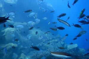Discover Scuba Diving in Santorini - Safety Habits and Instructor Patience That Actually Help
