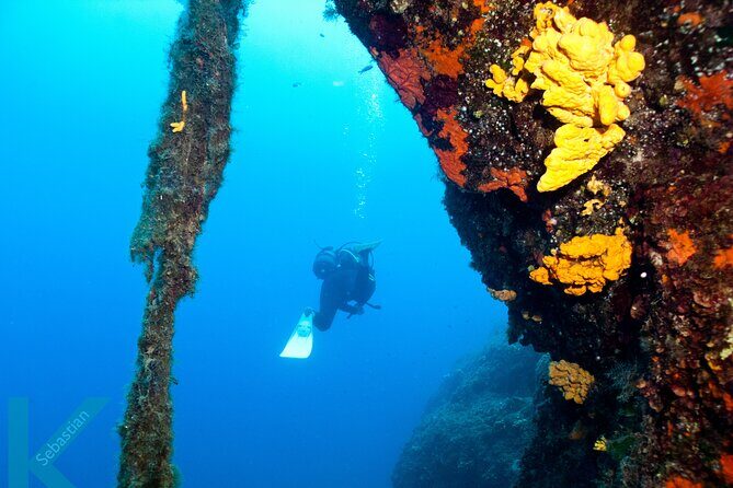 Discover Scuba Diving in the Caldera of the Volcano in Santorini - Key things to know before you go