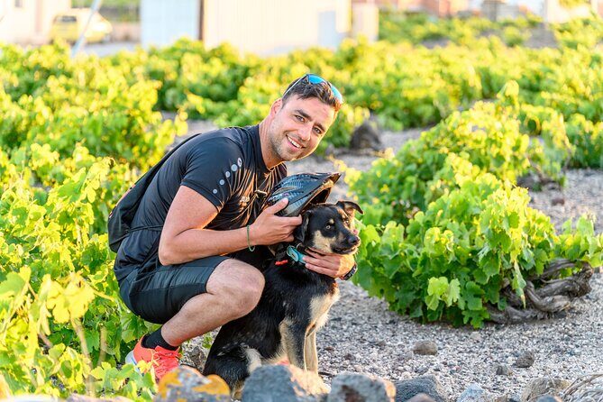 E-Bikes Rental in Santorini - Weather, Timing, and How to Plan Your Day
