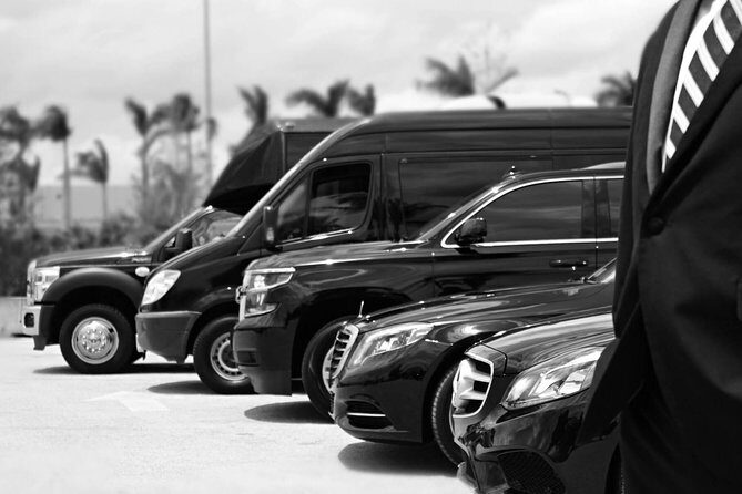Economy Arrival Transfers From Santorini Airport To All Destinations - Flight-Delay Tracking and the 24/7 Factor