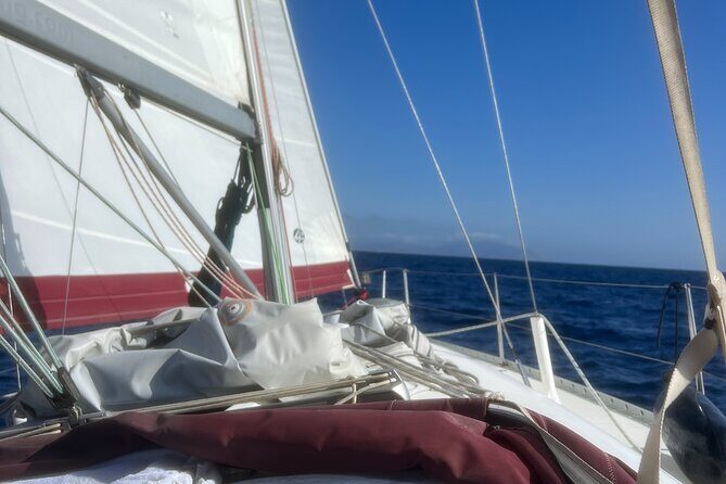 Half day Private Sailing cruise in Santorini island up to 6 pax - Practical Tips for a Smooth Day on the Water
