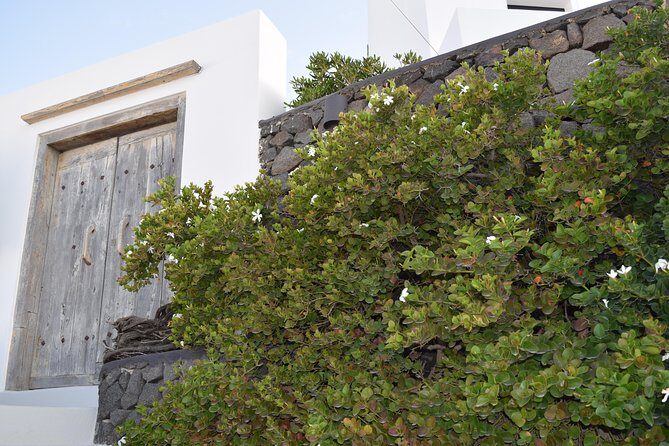 Hidden villages: Private tour 5-Hour - Stop 2: Megalochori’s traditional village lanes with a guide