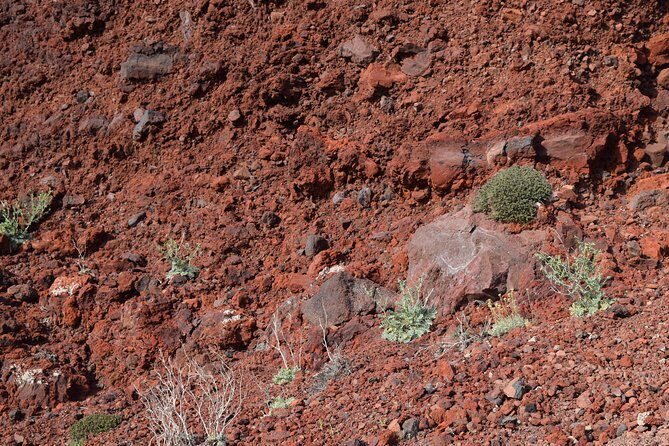 Hiking activity through the volcanic land of wonder - Getting the pace right: moderate fitness, real breaks, and a hilly route