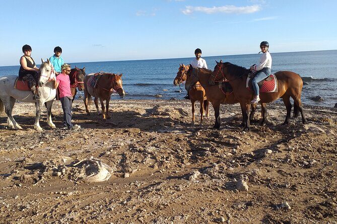 Horse Riding: Explore Secret Thera - Price and Value: Is $72.56 Worth It for One Hour of Riding?