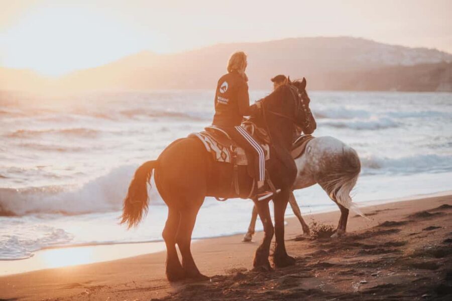 Megalochori: Horseback Riding Tour for Experienced Riders - Canyons, ravines, and ancient trails: the back-coast story