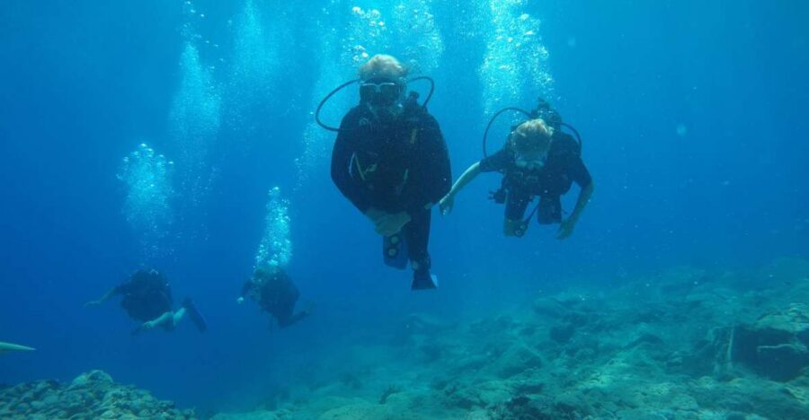 Oia: 2 Guided Scuba Dives off Santorini for Certified Divers - Key things I’d zero in on before you book