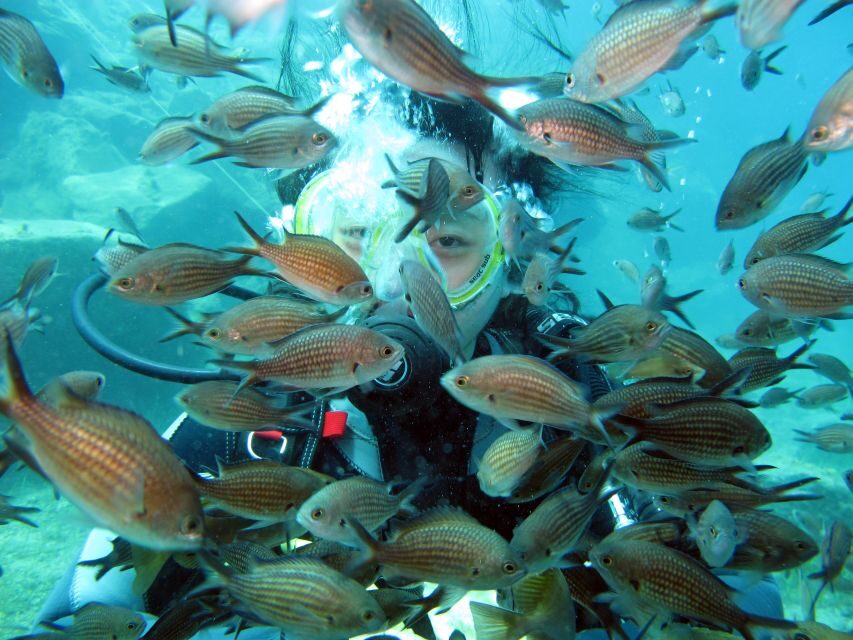 Oia: 2 Guided Scuba Dives off Santorini for Certified Divers - The guide team and why the small group matters