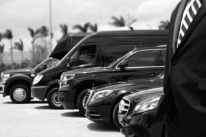 Private Arrival Transfer From Santorini Port To All Destinations - Timing Worries: Arrival Monitoring and 24/7 Coverage