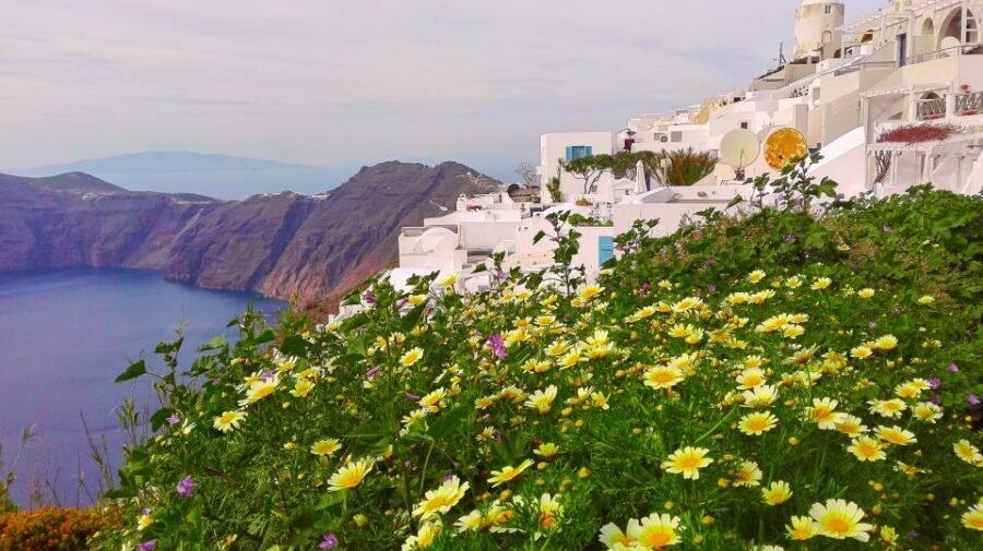 Private Famous Sights Tour with Local Guide in Santorini - How the 4-hour private format keeps Santorini from overwhelming you