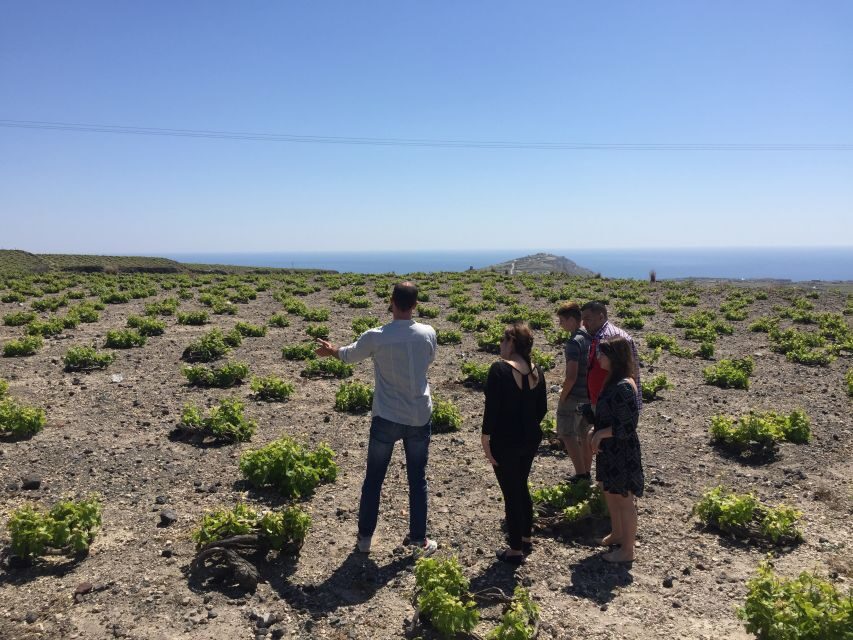 Private Group Visit to Akrotiri & 3 Wineries with Tastings - Pickup, time on the road, and making this fit your day in Santorini