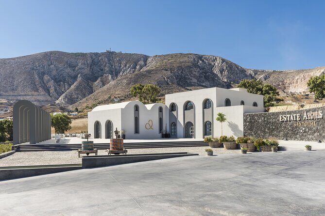 Private Half Day Tour with Wine Tasting in Santorini - Practical Tips for This Santorini Wine and Village Combo