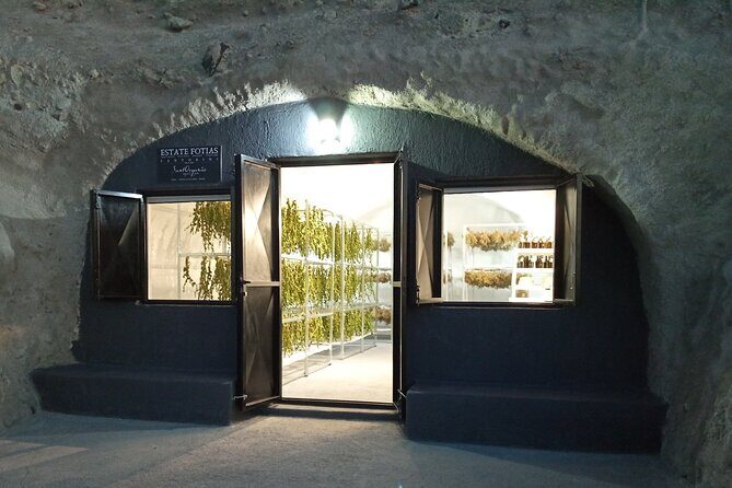Private Olive Oil tasting & Liqueur experience - How the olive oil tasting actually teaches your palate