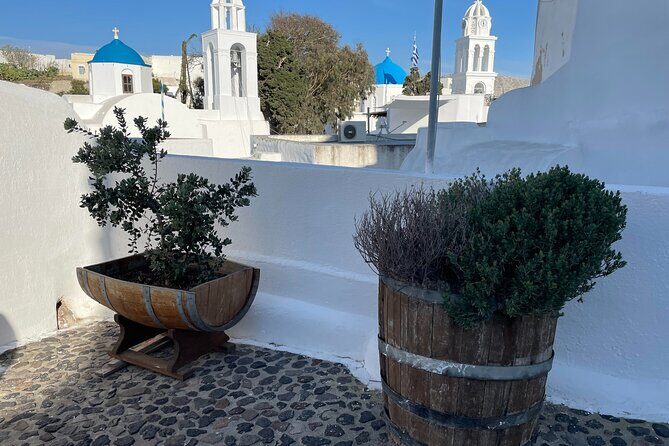 Private Santorini Daytime Wine Tour - Gaia Winery: a former tomato factory turned modern winery