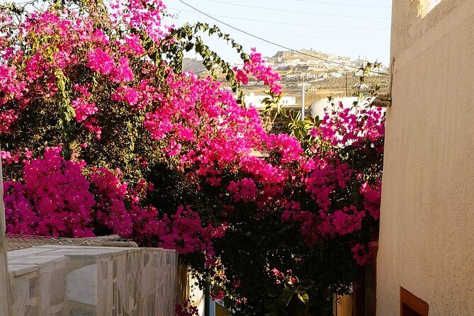 Private Santorini Highlights Tour with Easy and Flat Walks - Price and Value: What $234.93 Per Person Buys