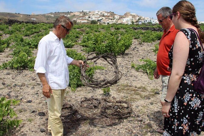 Private Santorini Sunset Wine Tour with Tastings and Tapas - Your 4-hour plan: where the time really goes