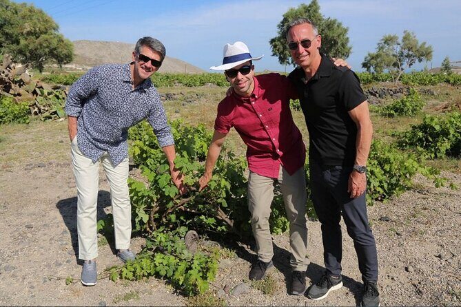 Private Santorini Sunset Wine Tour with Tastings and Tapas - Why the cellar tours are the real value add