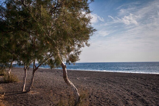 Private Tour: Discover South of Santorini - Winery time and what to plan for on your own