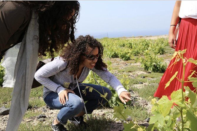 Private Tour: Great Wines and Famous Towns of Santorini - Price and Value: Paying to Save Time (and Get Better Wine Time)