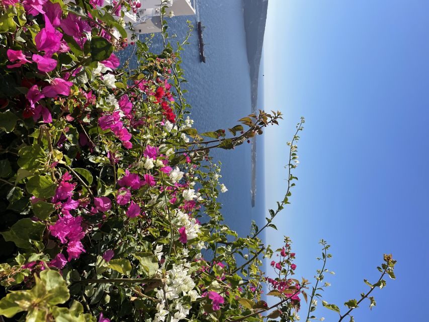 Private Tour of the Famous Blue Domes and Caldera - How the 3-hour private route is laid out (Oia → Imerovigli → Firostefani)