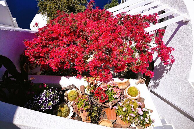 Private Unseen Authentic Santorini Half Day Island Tour - A half-day sampler of Santorini’s middle and south