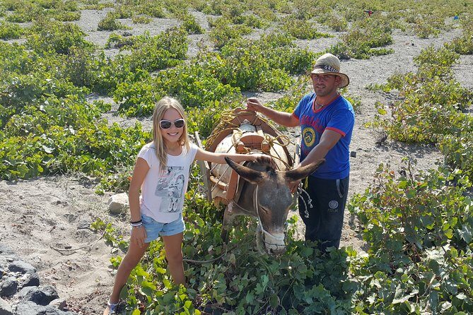 Santorini: 4hr Private Wine Tasting Tour - Stop 3 at Domaine Sigalas: wine tasting to close the loop