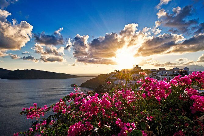 Santorini: 6hr Private Tour with Olive Oil, Beer or Wine Tasting - Sant Organics organic farm: olive oil tasting you can actually taste