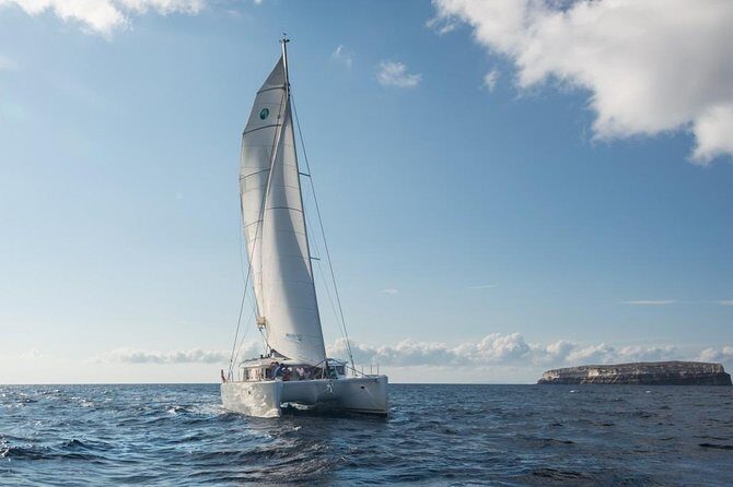 Santorini Caldera Sailing Tour with BBQ Lunch and Drinks - Snorkel time, masks, and what to plan for