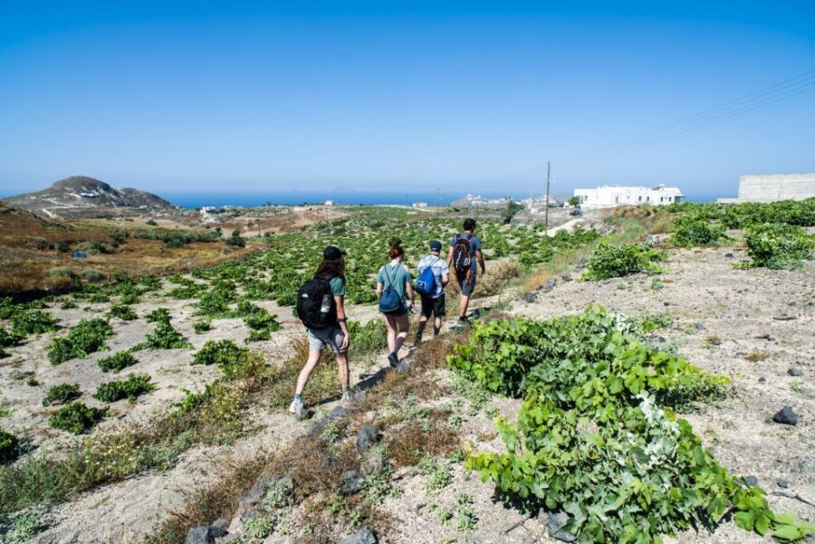 Santorini: Cooking Class and Easy Hike - Cooking class at a traditional local chef: simple, fun, and focused on real food
