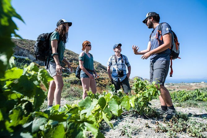 Santorini : Cooking Class & Easy Hike - The 9:00 start: pickup, group size, and how it flows