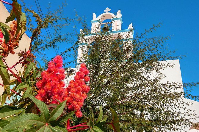 Santorini Day Tour with Sunset in Oia - Price and value: what $71.20 really covers