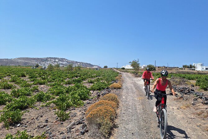Santorini e-bike sunset tour experience - Entering the Tomato Industrial Museum first (not last)