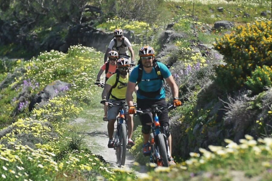 Santorini: Electric Mountain Bike Adventure - Price and value: is $141 per person actually fair?