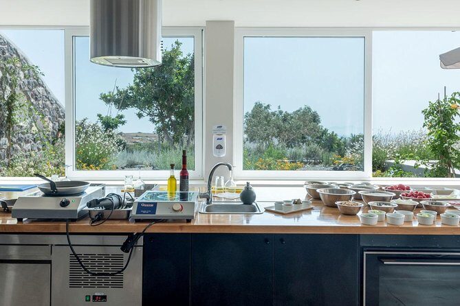 Santorini Farm-to-Table Cooking Class with a Local Chef, Christos - Pairing your food with Artemis Karamolegos volcanic wines