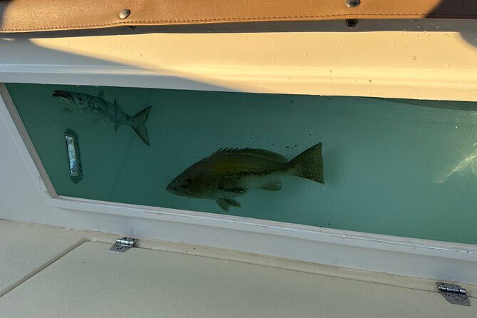 Santorini Fishing Private Cruise boat tour - BBQ, Snorkeling - Meet Captain Makis and Elias: The Storytelling Side of the Sea