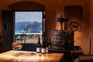 Santorini: Guided Wine Tour with Pickup and Snacks - Argyros Winery: big vines, volcanic soil, and a classic start