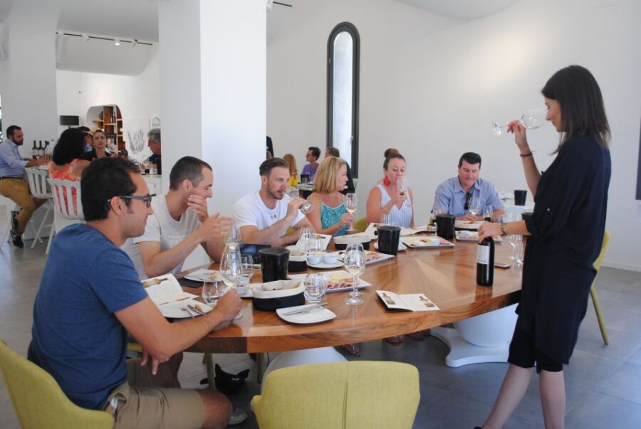 Santorini: Guided Wine Tour with Pickup and Snacks - Art Space Winery Museum: pumice-rock chambers and contemporary Greek art