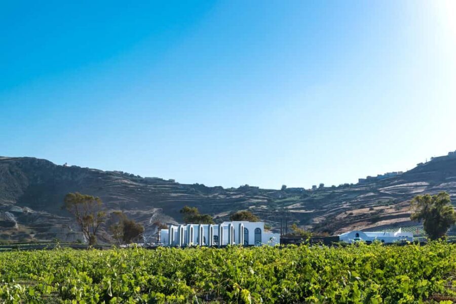 Santorini: Guided Wine Tour with Pickup and Snacks - Should you book this Santorini wine tour?