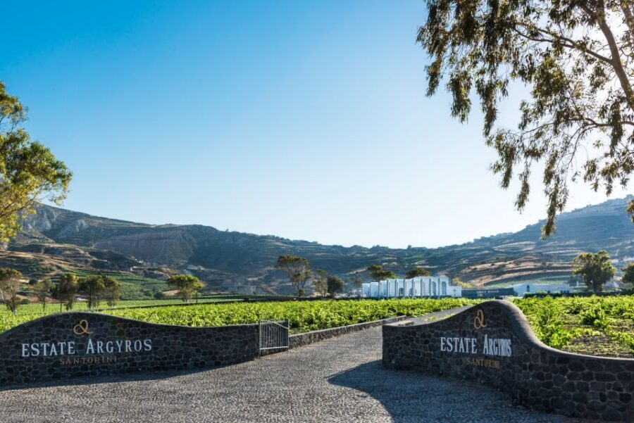 Santorini: Guided Wineries Private Tour with Wine Tastings - Practical Tips That Make the Day Smoother