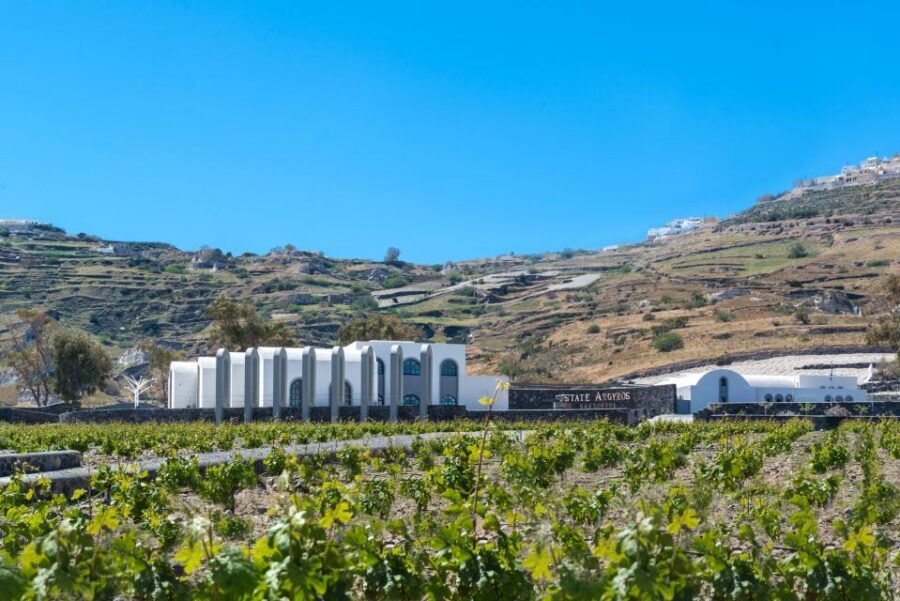 Santorini: Guided Wineries Private Tour with Wine Tastings - The Tastings and Food Pairings: 12 Wines Without Guesswork