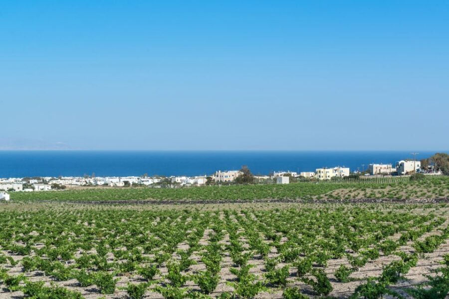 Santorini: Guided Wineries Private Tour with Wine Tastings - Stop 1: Art Space Wine Museum and Volcanic Rock Cellars