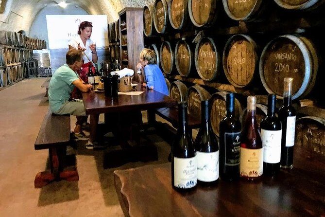 Santorini Half Day Wine Tasting & Winery Tour with Pickup - Artemis Karamolegos Winery: volcanic vineyards meet modern gear