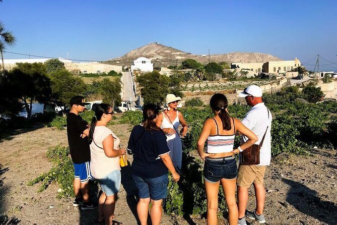 Santorini Half Day Wine Tasting & Winery Tour with Pickup - Private pickup and the “no taxi” advantage