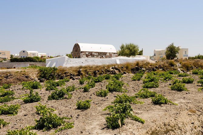 Santorini Highlights and Venetian Castles Small-Group Day Tour - Firostefani Blue Dome and Rock of Skaros: Short Photo Time, Big Payoff