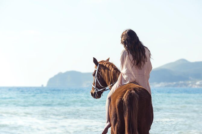 Santorini Horse Riding to Black Sandy Beach - Key things to know before you book
