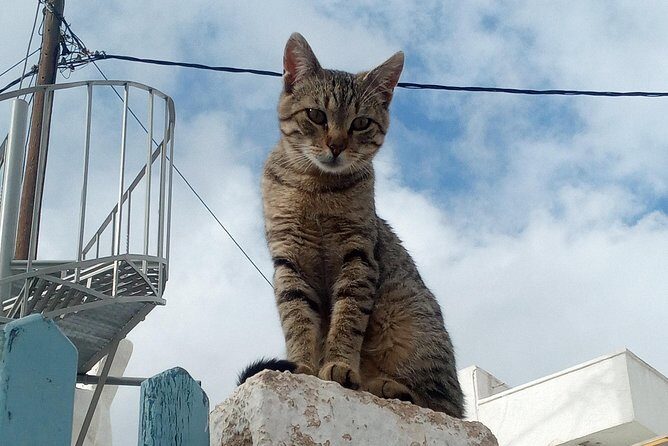 Santorini: Local Life Full Day Tour - Pickup and pacing: how to make six hours feel like a win