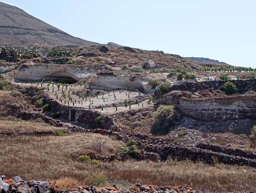 Santorini: Private Agri-Educational Visit to an Organic Farm - Why This Santorini Farm Visit Feels Like a Time Machine