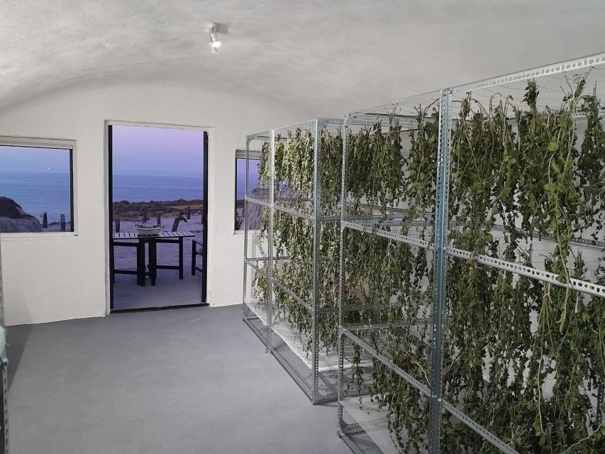 Santorini: Private Agri-Educational Visit to an Organic Farm - The Short Walk In: Cobblestones, Scenic Stops, and Farm Energy